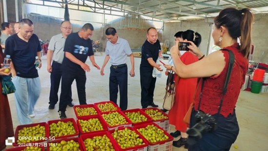 图片7
