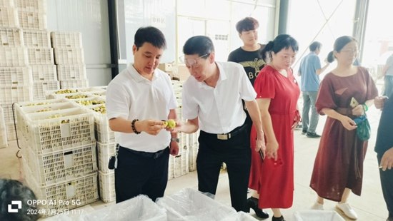 图片8