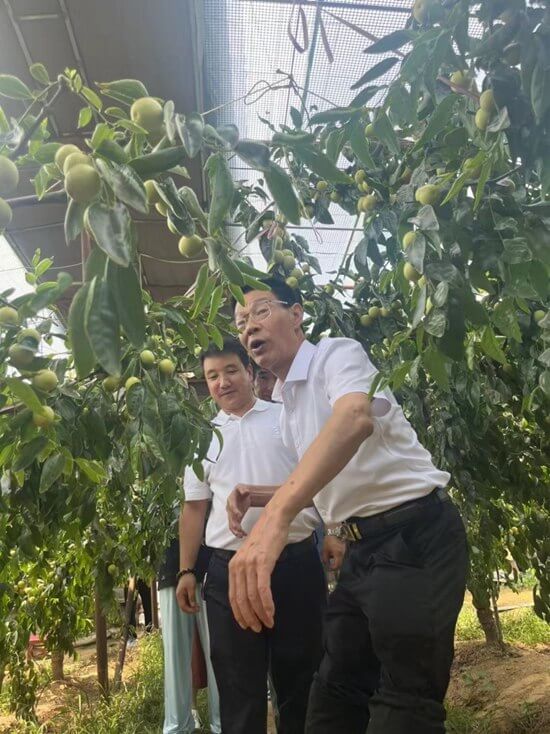 图片11